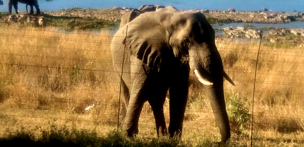 WhatsApp Image 2021-03-20 at 14.57.27 (4)