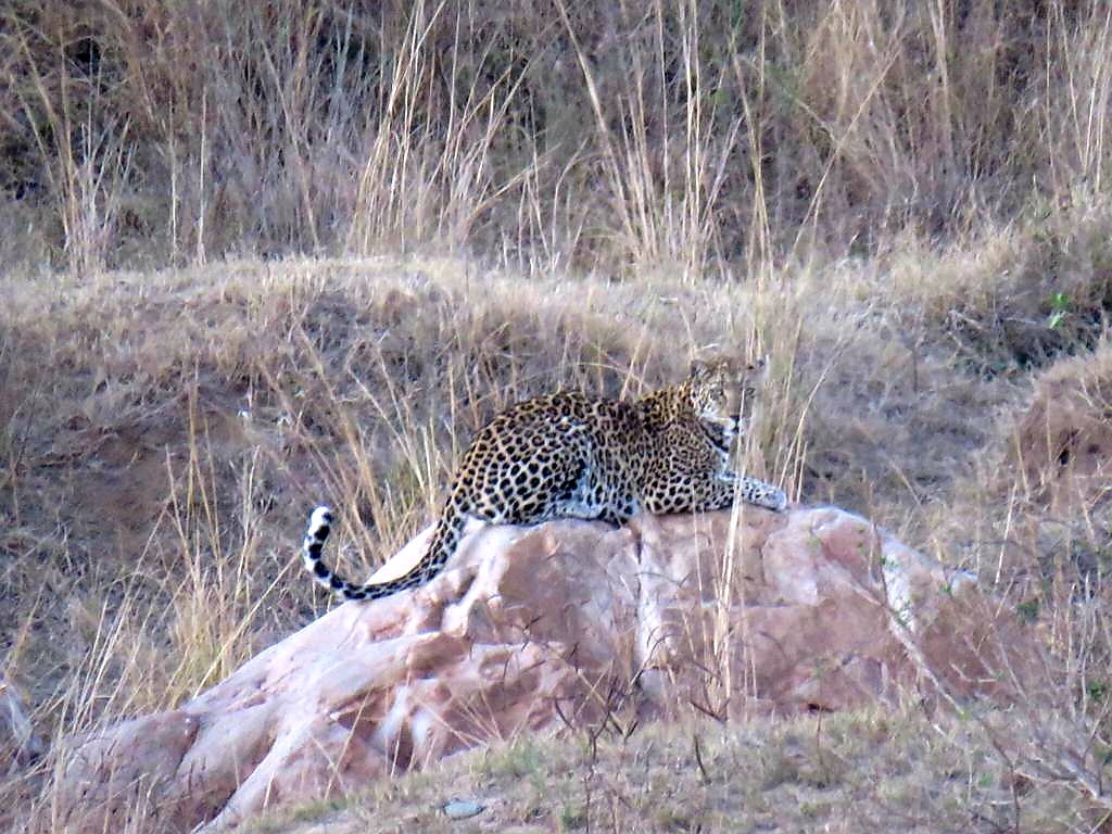 WhatsApp Image 2021-03-20 at 14.57.27